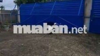 💥Bán gần 1,3 ha 
đất quy hoạch SKC 
Thị trấn Dầu Tiếng Bình Dương