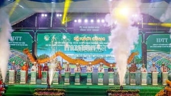 !! Gấp ! Gấp ! Gần KCN Thủ Thừa - 100m2 Chỉ 1tyxx- SHR- Đất ODT