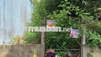 Bán Đất Full Thổ Cư Hẻm 1959 Lê Văn Lương, Nhơn Đức, Nhà Bè.