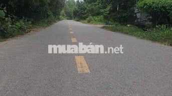 BÁN ĐẤT LAI HƯNG 85, GIÁ RẺ 15tỷ đường nhựa lớn