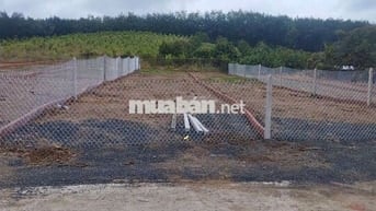Bán đất thổ cư 230m2 giá 350tr