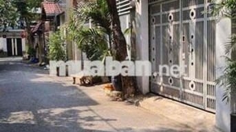 Cho Thuê Nhà Đường Ba Vân, Tân Bình ( KD Tự Do - Cho Làm CHDV )