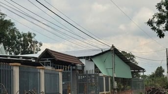 Vườn cây trái vuông vức đẹp oto vao tận nơi