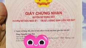 Đất ngộp chính chủ phường Long Nguyên