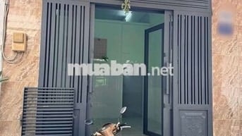 Nhà mới cho thuê Chiến Lược thông Tân Hòa Đông (1 lửng 1WC) ở ngay
