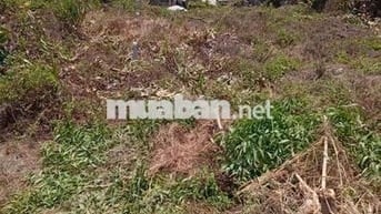 BÁN 1 LÔ ĐẤT DT 174,6m2, FULL THỔ CƯ Ở CẦN ĐƯỚC, SHR CHÍNH CHỦ.