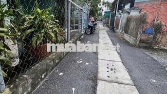 Bán đất Tân An mặt nhựa thông tặng nhà cấp 4, 660m2 sẵn 300 thổ cư