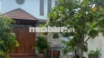 BIỆT THỰ MINI VƯỜN BÌNH MỸ- 550M2 - GIA ĐÌNH ĐỊNH CƯ MỸ - TÌM CHỦ MỚi