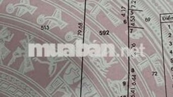 Mặt tiền đường nhựa xã Bình Chánh gần ngay trường Tiểu Học Kim Đồng