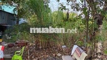 Bán đất kdc 47mẫu, An Phú Tây, Bình Chánh
