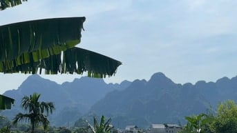 Quá trời Đẹp và tiềm năng 1064m Kim Bôi Hòa Bình Chính chủ cần bán