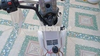 Cub yamaha