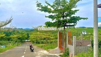 Bán đất 125m² Phường 2 – Bảo Lộc, khu compound, giá rẻ hơn 1/2 khu vực
