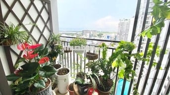 Không gian sống xanh-Đẳng cấp vượt thời gian chỉ có ở Botanica Premier
