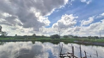 LÔ ĐẤT LÚA NGAY HẺM 1697 LÊ VĂN LƯƠNG NHƠN ĐỨC NHÀ BÈ.