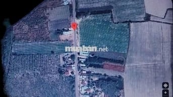 Chính chủ cần bán đất Quốc Lộ 14C, xã Phước Vinh, khu vực Châu Thành
