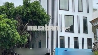 Nhà cho thuê Thích Minh Nguyệt, Quận Tâ Bình