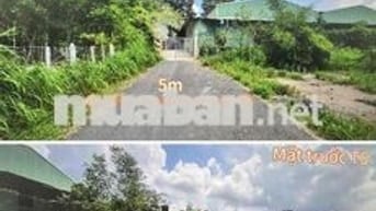 Đất nền 620m2 tại TP. HCM siêu rẻ