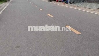 Bán đất gần trường học Phú An Bến Cát kinh doanh buôn bán
