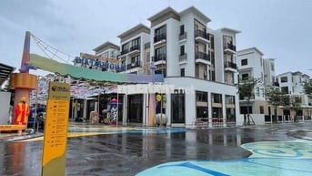 T&T Millennia 267ha, giỏ hàng chuyển nhượng giá tốt, không phát sinh