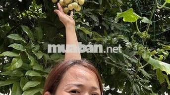 Biêth Thự Siêu Vip- Hoàn Công Mt Bế Văn Đàn - Giá Đầu Tư