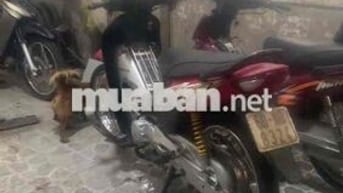 Honda Wave đỏ, xe số