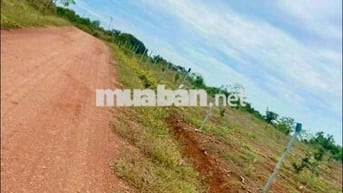 Đất Nền Thổ Cư Sổ Sẵn Giá Rẻ - Giáp 2 Khu Công Nghiệp