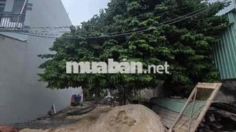 LÔ ĐẤT FULL THỔ ĐÔNG THẠNH 4_HẺM 5M XE TẢI_DT 148m2(8x18.5) KẾ Q12