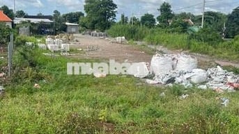 Bán lô đất 3300m2, mặt tiền đường nhựa (2 mặt tiền)