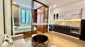CĂN HỘ 1PN SIÊU SANG KHU VỰC SƠN TRÀ MỚI 100%
