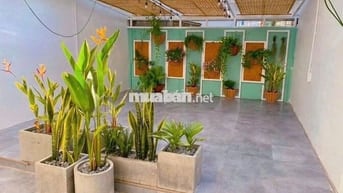 Nguyên căn 4x20m nở hậu đường Thành Thái ngay khu kinh doanh đẹp