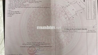 Kẹt tiền cần bán nhanh 3 công đất tại Phước Khánh, Nhơn Trạch