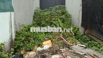 Đất Mặt Tiền Đường Nhựa 1/ Ngắn Đường Huỳnh Thị Mài. Tân Hiệp Hóc Môn