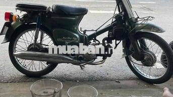cúp 81 bstp giáy tờ đầy đủ