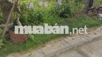 BÁN GẤP LÔ ĐẤT 192,2M² XÃ TÂN THÔNG HỘI – GIÁ MỀM, CHỐT NHANH