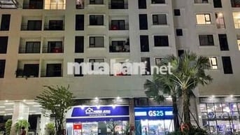 CHO THUÊ CĂN HỘ CHUNG CƯ C_Skyview Chánh Nghĩa Thủ Dầu BD