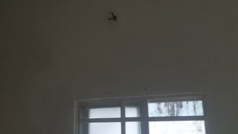 Sơn sửa nhà chống thấm dột nhà phố chung cư