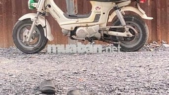xe học xin đi còn ngon máy móc bao chạy lợi xăng