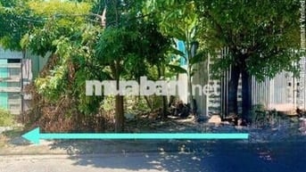 bán lô đất đường Mộc Bài 8 Hòa Minh Liên Chiểu Đà Nẵng