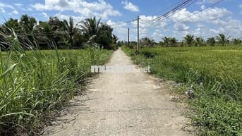 350 Triệu Đất thổ Cư 126m2 đối diện cụm KCN An Nhựt Tân