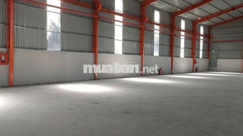 Cho Thuê 3.000m2 Nhà Xưởng Mới Tân Uyên Bình Dương PCCC Tự Động