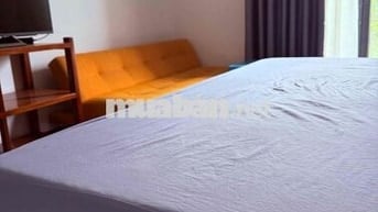 cho thuê phòng studio biệt thự cao cấp
