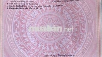 🆘 ĐẤT 12,2 x 42m MẶT TIỀN ĐƯỜNG XUÂN THỚI THƯỢNG 4, XÃ BÀ ĐIỂM TPHCM
