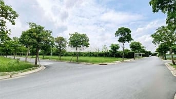 Bán Đất tại Đào Tông Nguyên, Nhà Bè, giá cực chất