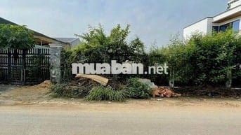 Đất nền Biên Hòa – Giá 1 tỷ 3, Mặt Tiền Đường Nhựa, Sổ Riêng Thổ Cư