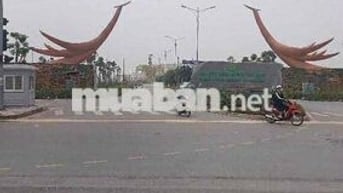 nhà mặt phố Trâu Quỳ – Gia Lâm,Học viện Nông nghiệp, giá chỉ 21 tỷ