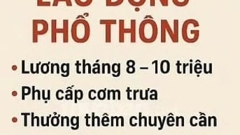 🆕 Chúng Tôi Cần Ngay 05 LĐPT Đóng Gói Hàng Trà Thảo Mộc
