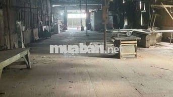 Cho thuê kho xưởng Xuân Thới thượng hóc môn ngay chợ đầu mối
