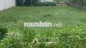 Bán đất Phúc Thắng, Phúc Yên, Vĩnh Phúc. Vị trí đẹp. Gần công ty
