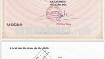 ĐÓN SÓNG HẠ TẦNG CỦA ĐÔ THỊ NAM HỘI AN CÁCH PHỐ CỔ HỘI AN CHỈ 10 PHÚT